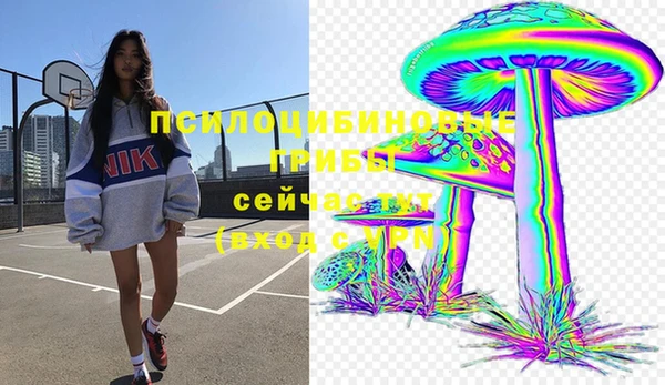 экстази Алексин