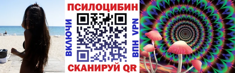 Галлюциногенные грибы Psilocybe  Алапаевск 